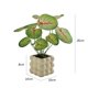 thumbnail image 2 of Plantas artificiales de simulación de vegetación en macetas pequeñas for interior, escritorio, sala de estar, mesa de centro, arreglo floral falso, 2 of 3