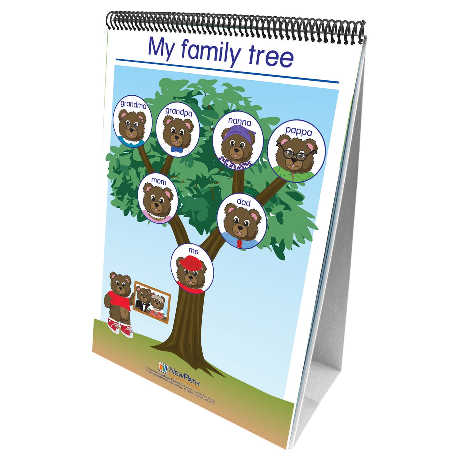 NewPath Learning Social Studies Readiness Flip Chart, Set of All 5