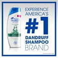 thumbnail image 5 of Head and Shoulders Itchy Scalp Care Anti-Dandruff 2 in 1 Shampoo and Conditioner, 8.45 fl oz, 5 of 5