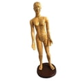 thumbnail image 1 of 1 modelo de acupuntura de cuerpo humano masculino/femenino-punto de presión y meridianos Mujer 1 shamjiam Small Acupoint del cuerpo humano, 1 of 3