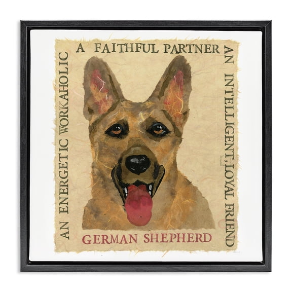 Stupell Industries Farmhouse Fun German Shepherd Phrases Black Floating Frame Canvas Art, 18 x 18, by Nancy Overton