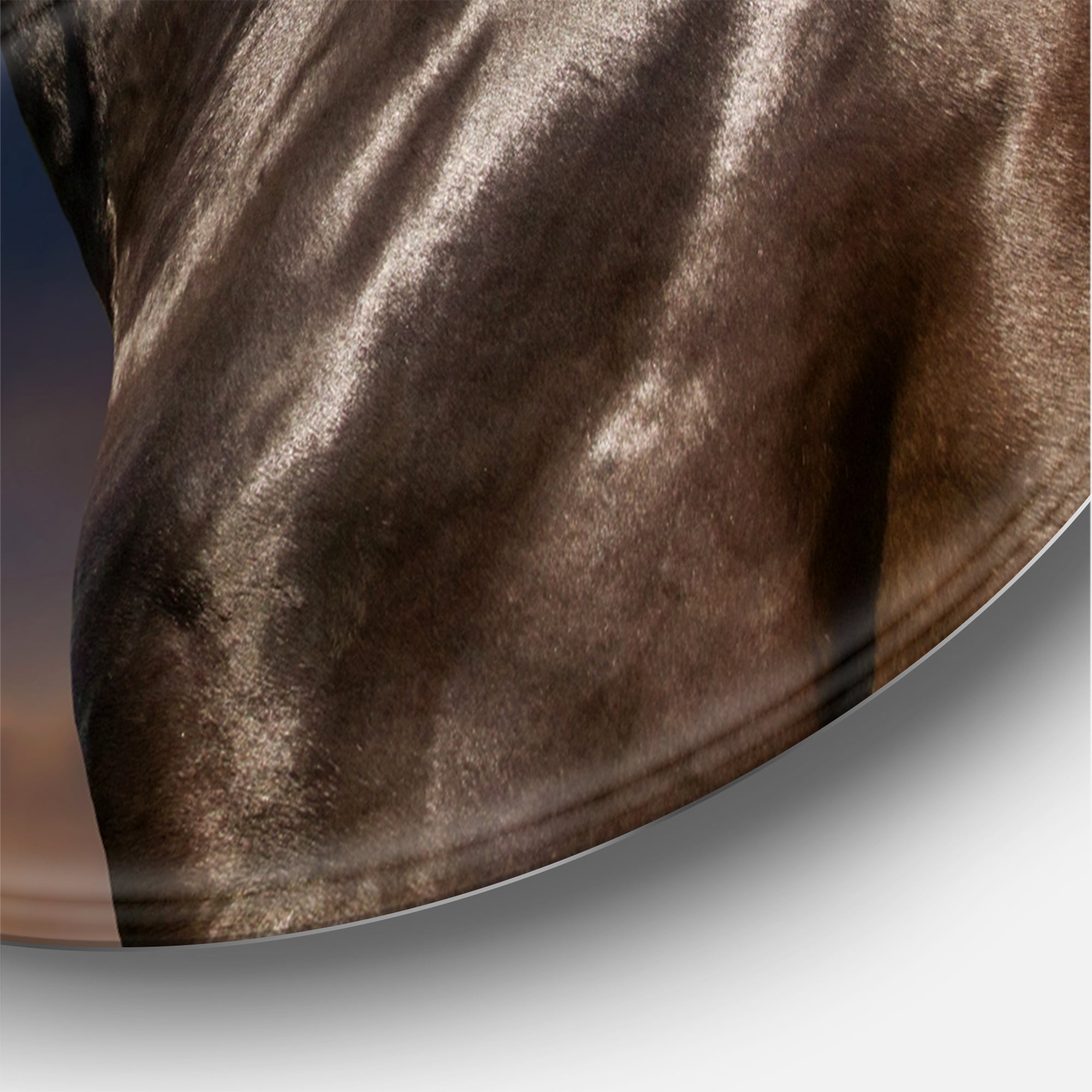 Designart 'Close Up Of Thoroughbred Nonius Stallion Horse III' Farmhouse Circle Metal Wall Art 23x23 - Disc of 23