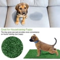thumbnail image 5 of Gustave Artificial Dog Grass Pee Pads Puppy Potty Training Pads Washable Reusable Pet Fake Grass Mat Turf Rug for Dogs Indoor Outdoor, Easy to Clean, 20x16 in, 5 of 8