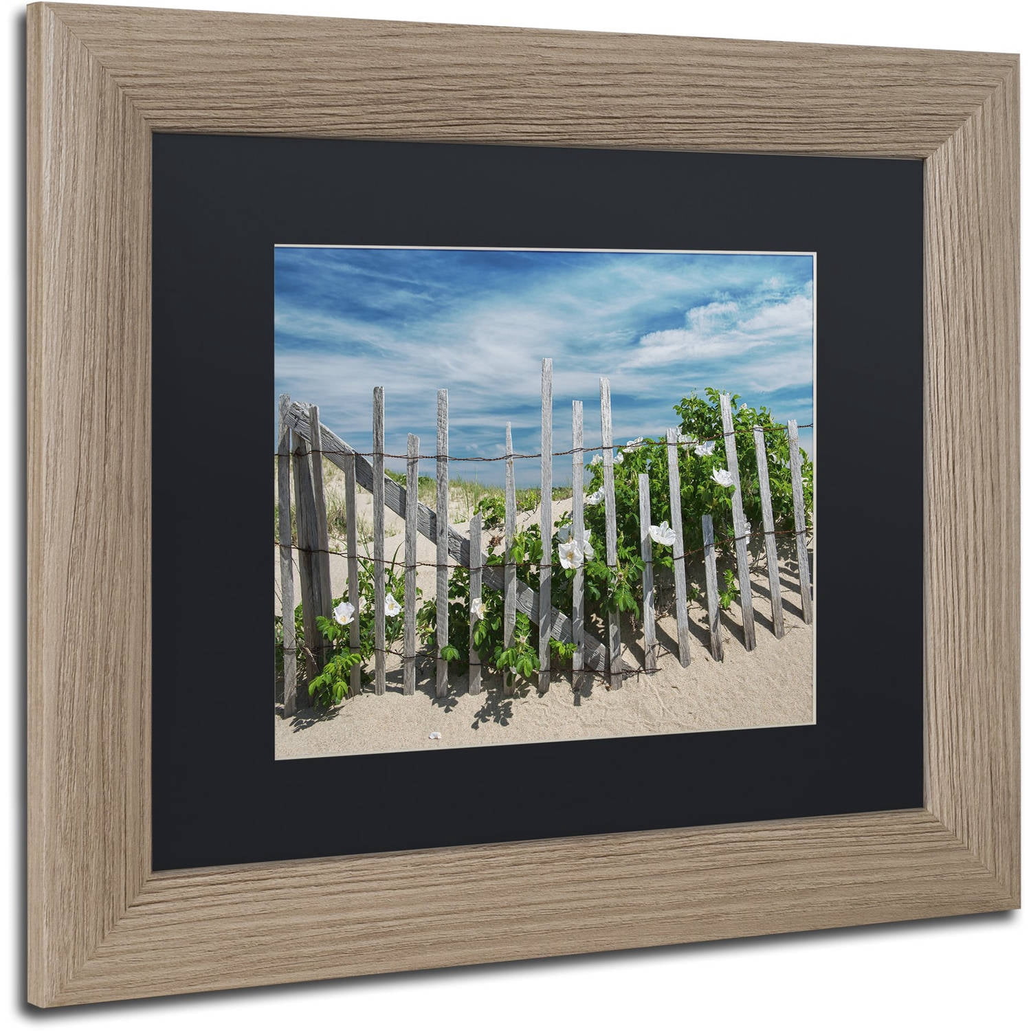 Trademark Fine Art "White Beach Roses" Canvas Art by Michael Blanchette Photography Black Matte, Birch Frame