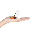 thumbnail image 3 of nanoblock - Animal - Série Collection Lapin Kit de Construction, 3 of 5
