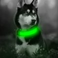 thumbnail image 4 of Collar con luz LED recargable para perros Collar con luz reflectante ajustable 7bfnuL5zuJt, 4 of 5