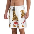 thumbnail image 2 of Pofeuu Christmas Gnomes In Leopard Prin Men's Swim Trunks Quick Dry Bathing Suit Swimming Board Shorts Mesh Lining Beach Swimwear-X-Large, 2 of 6
