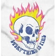 thumbnail image 2 of Everything is Fine Flaming Skull Unisex Plus Fleece Graphic Hoodie Brisco Brands 2X, 2 of 5