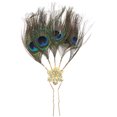 thumbnail image 1 of Horquillas vintage para mujer, diseño de pluma de pavo real, tocado, accesorios étnicos para el cabello, horquillas sencillas., 1 of 4