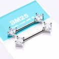 thumbnail image 3 of A Pair of Princess Cut Square Sparkle Gem Nipple Barbell, 3 of 3