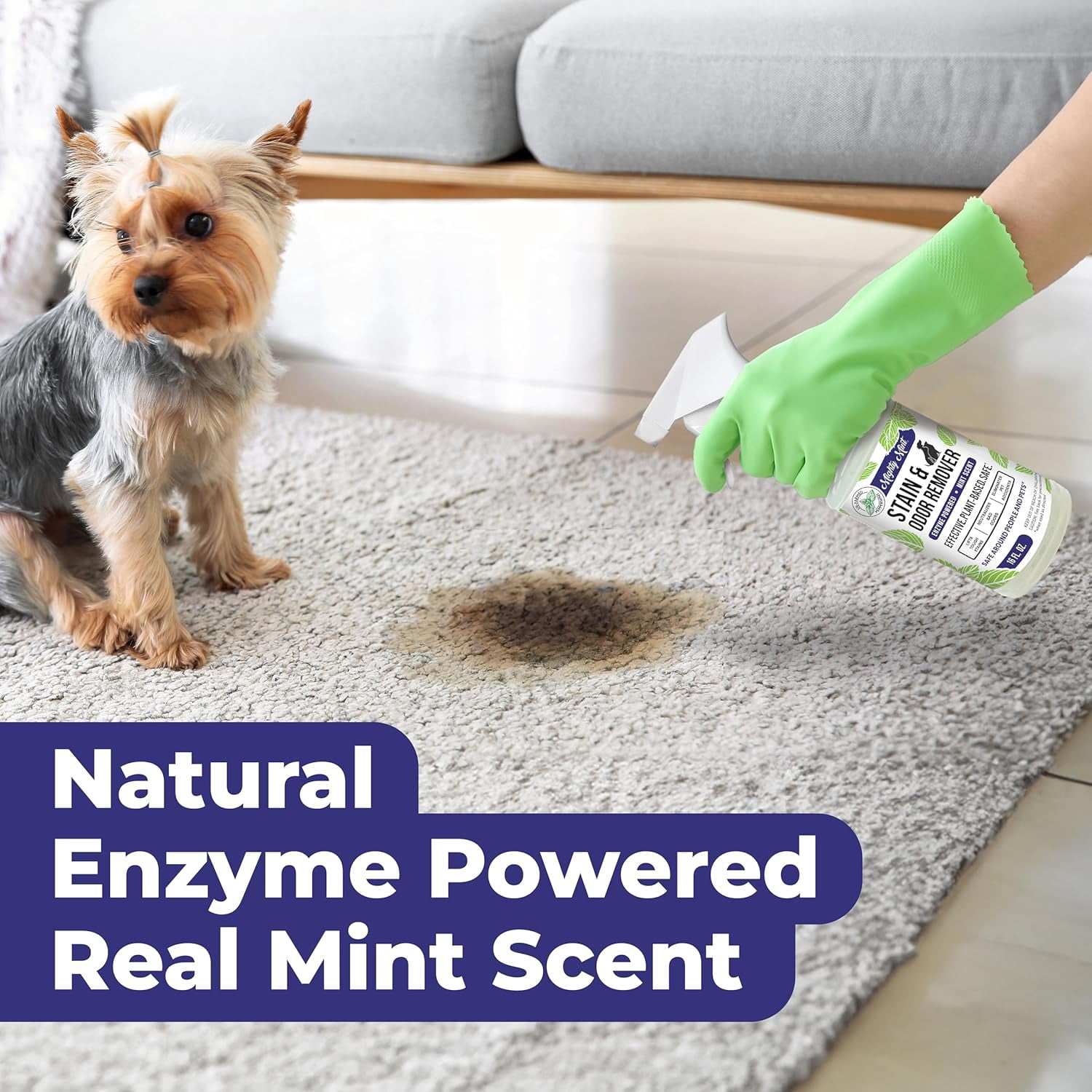 Stain & Odor Remover, Natural Enzyme Spray Safely Neutralizes Odor and Stains from Dogs, Cats on Carpet, Furniture, Natural Peppermint Scent, 16oz