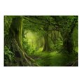 thumbnail image 2 of Up to 65% Off SMihono Background Cloth Decorative Cloth Hanging Cloth Tapestry Beach Towel, 2 of 2