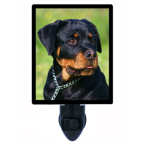 Night Light - Rottweiler. | Dog Theme, Includes Free Switchable Insert, 4W Bulb, E12 Base