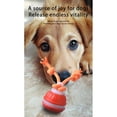 thumbnail image 7 of Clearance! Dog Toys Interactive Small Dogs - USB Rechargeable Electronic Ball, Squeaky Motion Toy, Engaging Sound,Orange, 7 of 7