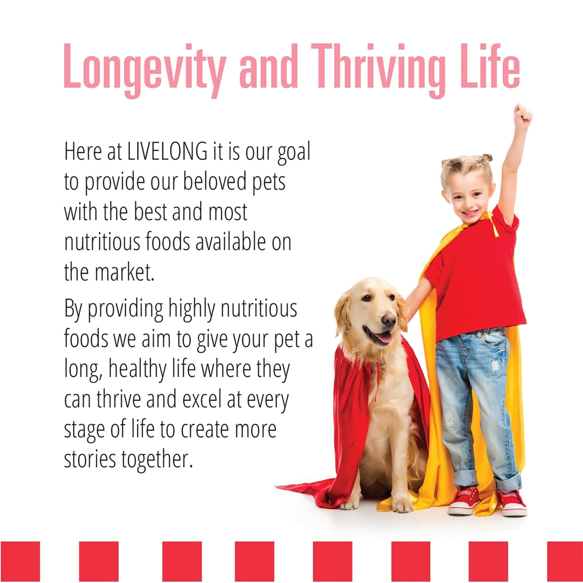 Livelong Healthy & Strong: 12 Pack: Beef & Sweet Potato Recipe - 12.5oz Cans, Wet Dog Food, High Protein, All Natural, No Preservatives,