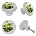 thumbnail image 4 of Frog Fluorescent Glow-in-the-Dark Drawer Pulls: 4-Pack Round Knobs with Screws - Ideal for Cabinets, Wardrobes, and Dressers - Unique Furniture Decor - Enhance with Door Knobs, 4 of 6