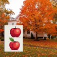 thumbnail image 4 of Fall Pretty Porch Flag, Versatile Vintage Illustration Fruits Apple House Flag 28x40 Inch, Autumn Themed Durable Garden Decoration Decoration for Balcony House Home Outdoor Patio, 4 of 6