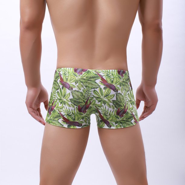 Aayomet Captain Underpants Men's Sexy Brazilian Underwear See Through