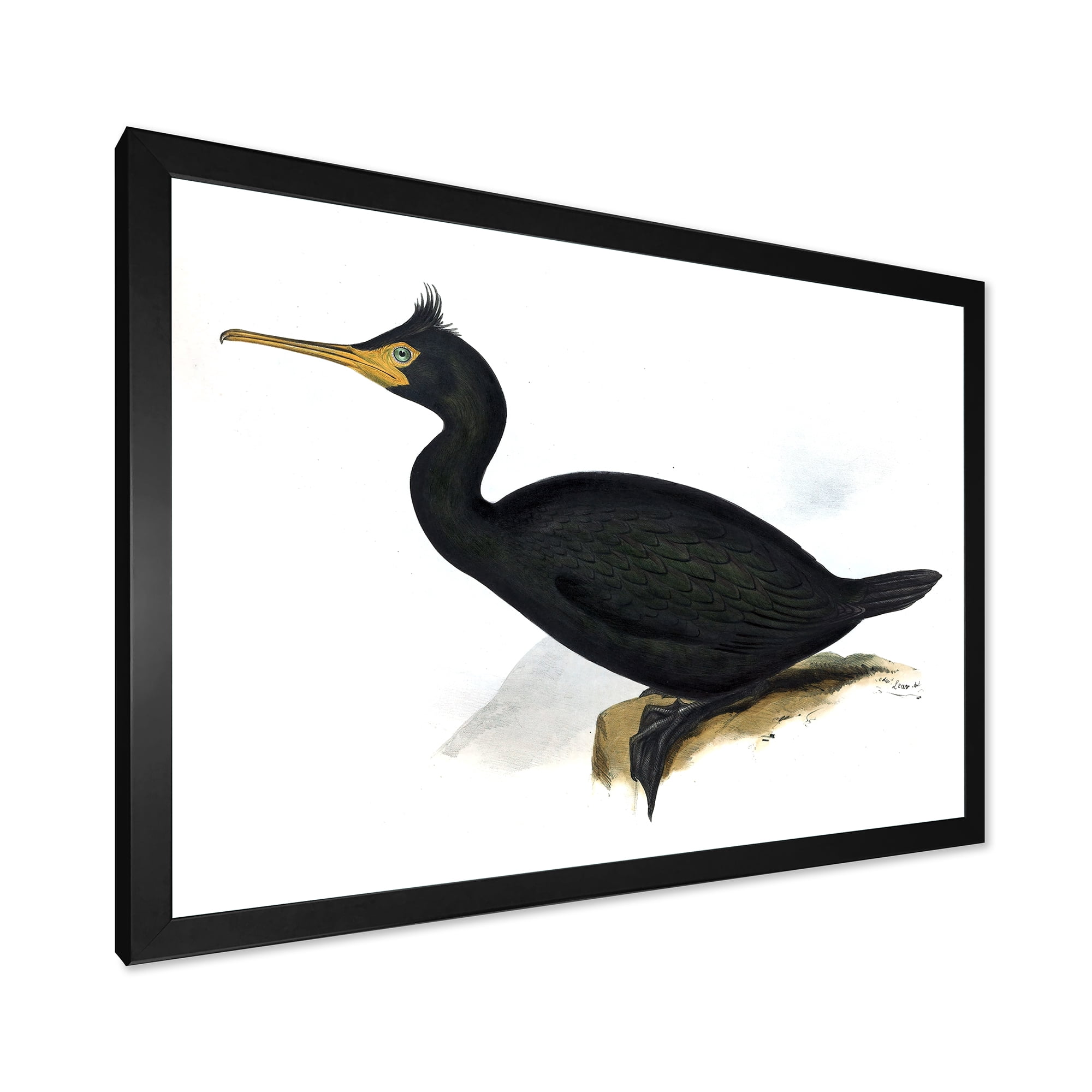 Designart 'Ancient Bird Life IV' Traditional Framed Art Print