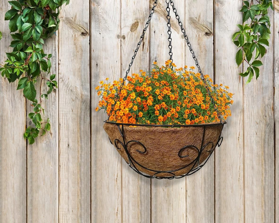 Cintre en Métal de 14 Pouces avec COCO