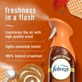 thumbnail image 2 of Febreze Air Mist, Odor-Fighting Air Freshener, Pumpkin Roll, 8.8 oz. Aerosol, Pack of 2, 2 of 11