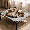 thumbnail image 6 of Elevated Dog Bed Breathable Pet Cot for Small Medium Dogs Cooling Raised Dog Frame Stand for Indoor Outdoor Use 30 X 24 Inch Lightweight Pet Rest Platform, 6 of 8