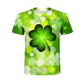 thumbnail image 4 of Camiseta diaria unisex del día de San Patricio para hombre, estampado gráfico en 3D, camisetas de manga corta, blusa informal Pompotops  oipoqjl7388, 4 of 9