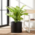 thumbnail image 2 of SAFAVIEH Braslen Concrete Modern Solid Round Patio Planter, Black, 2 of 6