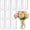 12 Pack 6 Inch, variant on Glass Cylinder Vases  Tall Clear Flower Vases for Centerpieces Wedding Decoration, Hurricane Floating Candle Holder for Party Table Home Decor