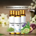 thumbnail image 5 of Aromatherapy Oil - 10ml - Natural Ingredients - Refreshing - Not Stimulating - Humidifier Aromatherapy Fragrance Oil - Home Supplies - Pack of 1, 5 of 8