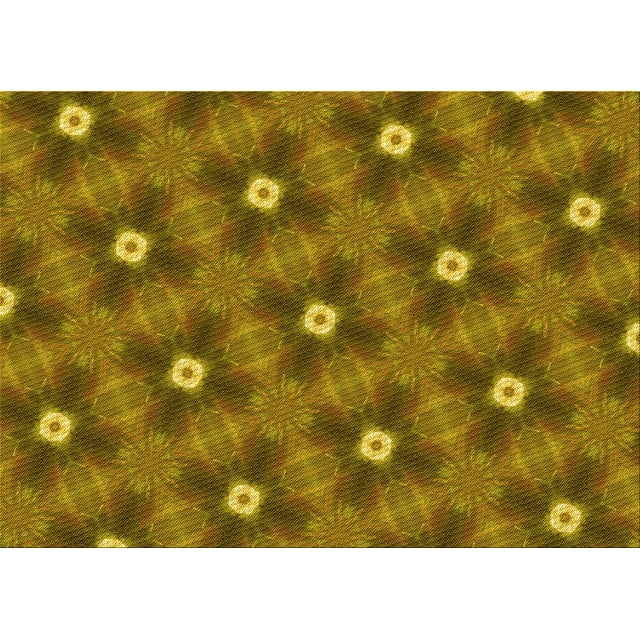 Ahgly Company Machine Washable Indoor Rectangle Transitional Dark Bronze Brown Area Rugs, 2' x 3'