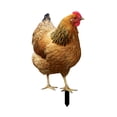 thumbnail image 3 of Adorno decorativo de estaca de jardín perfecl pollo acrílico 315 cm x 174 cm, 3 of 8