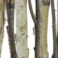 thumbnail image 2 of Northlight 18.75" Mixed Branches in a White Wooden Frame Christmas Tabletop Decoration, 2 of 3