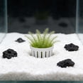 thumbnail image 3 of Huanglei Hydroponic For Aquarium Tank Glass Planter With Suction Cups Floating Holder, 3 of 3