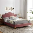 thumbnail image 2 of Platform Bed Frame, King Size, Pink, Velvet, Mid Century French Bedroom, Modern Contemporary Boutique HB35448, 2 of 12