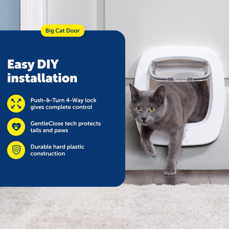 PetSafe Big Cat Door, 4-Way Lock, Soft-Close Flap photo 2