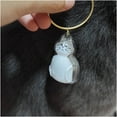 thumbnail image 4 of Acrylic Cats Furs Display Case with Rope Pet Hair Collection Container Keychain Pendant For Pet Memorabilias Decors, 4 of 8