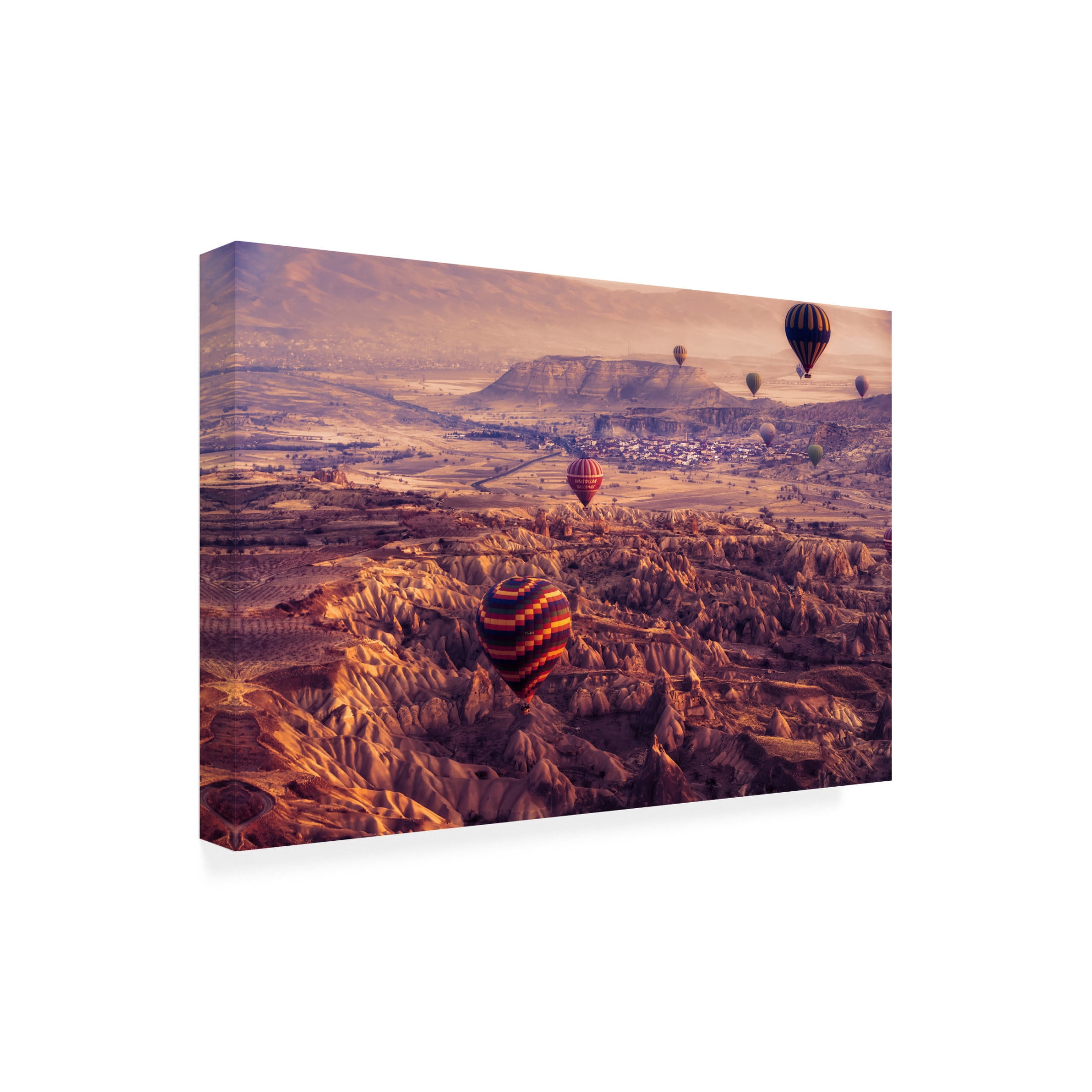 Trademark Fine Art mihai ian nedelcu flight path Canvas Wall Art
