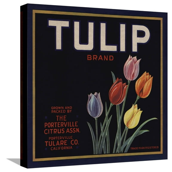Art.com Tulip Brand - Porterville, California - Citrus Crate Label Stretched Canvas Print Wall Art by Lantern Press, 16" x 16"