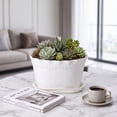 thumbnail image 7 of Wave Edges Plastic Plants Pots with Drainage Holes & Matching Saucers,Lightweight Indoor Outdoor Decorative Flower Planters Garden Decor, 7 of 7