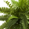 thumbnail image 2 of Nearly Natural Plastic 20" Boston Fern Artificial Plant in Decorative Planter, Green, 2 of 3