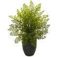 thumbnail image 1 of Nearly Natural 6309 Maiden Hair Plant in Black Ceramic Pot, 1 of 1