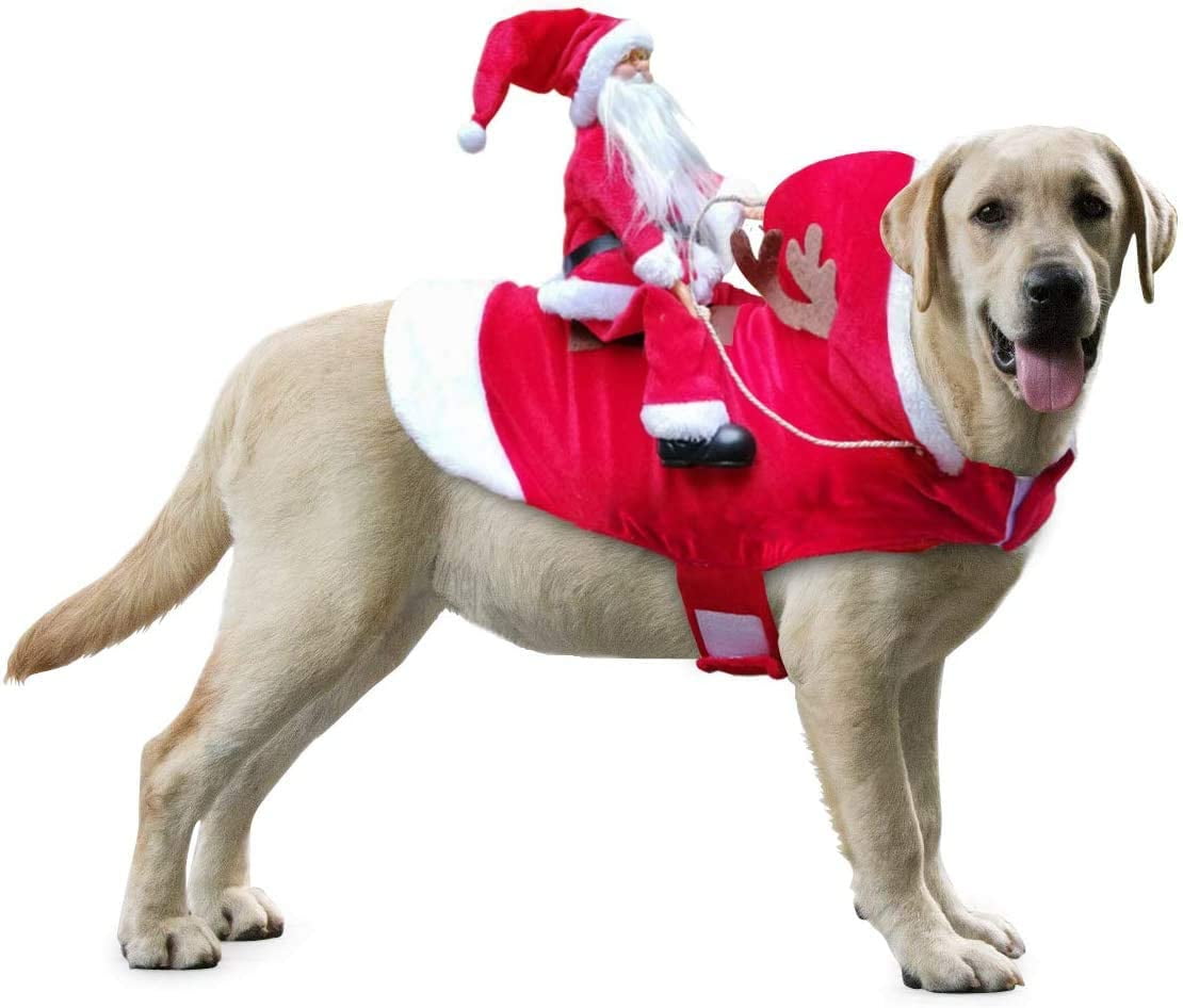 dog santa costume labrador