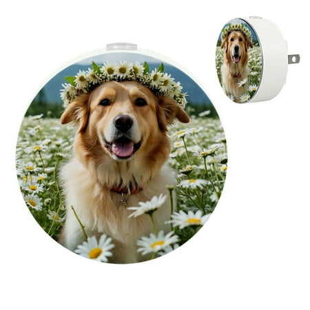 

YZUOUZY Night Lights Plug into Wall LED Lamp Small Lamps Set of 2 Golden Retriever Daisy Hills Flowers