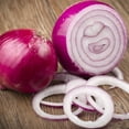 thumbnail image 4 of TomorrowSeeds - Red Burgundy Onion Seeds - 1000+ Count - For 2026 Planting Sweet Short Day Onions, 4 of 11