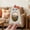B, variant on Cute Halloween Wooden Photo Frame Pumpkin Ghost Shaped Tabletop Picture Frame With Stand Mini Small Pet Frame Tiered Tray Decor Hallowe