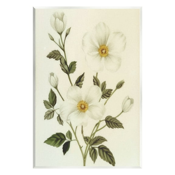 Stupell Industries Vintage Apple Blossoms Botanical & Floral Painting Unframed Art Print Wall Art, 10 x 15