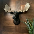 thumbnail image 3 of Zeckos Rustic Moose Head Bust Wall Sculpture 20x23in Brown Cabin Lodge Decor, 3 of 6