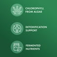 thumbnail image 3 of Dr. Mercola Fermented Chlorella with Chlorophyll Powder, 3.96 Oz. (112.5 g), 45 Servings, Supports Cellular Energy and Immune Function, Non-GMO, NSF Contents Certified, 3 of 6