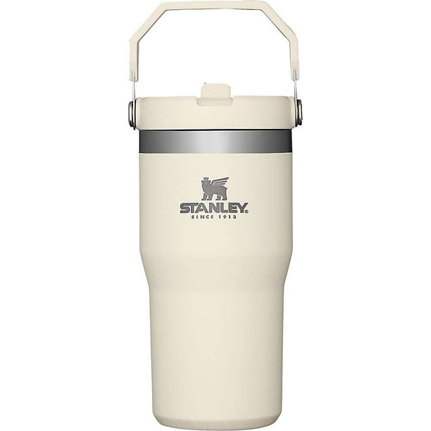 Stanley Classic 20oz Iceflow Flip Straw Tumbler